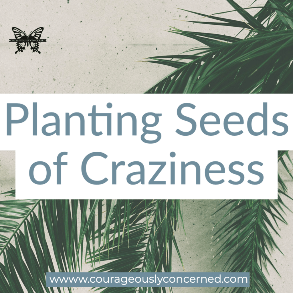 Planting Seeds of&nbsp;Craziness